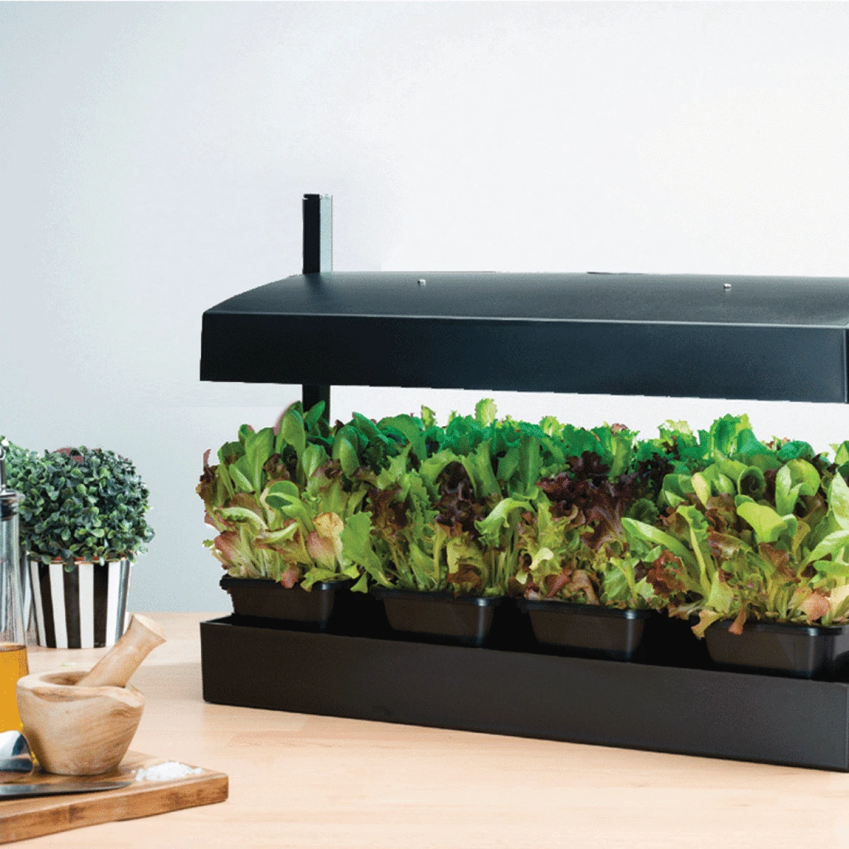 Garland Grow Garden Light - Black - Image 3