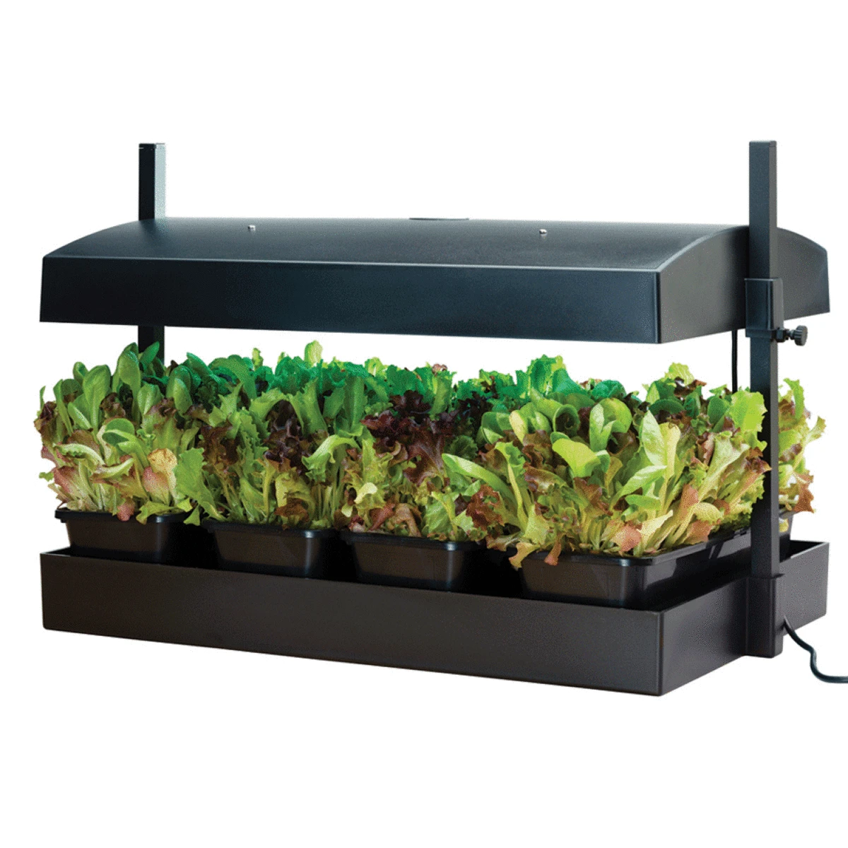 Garland Grow Garden Light - Black - Image 5