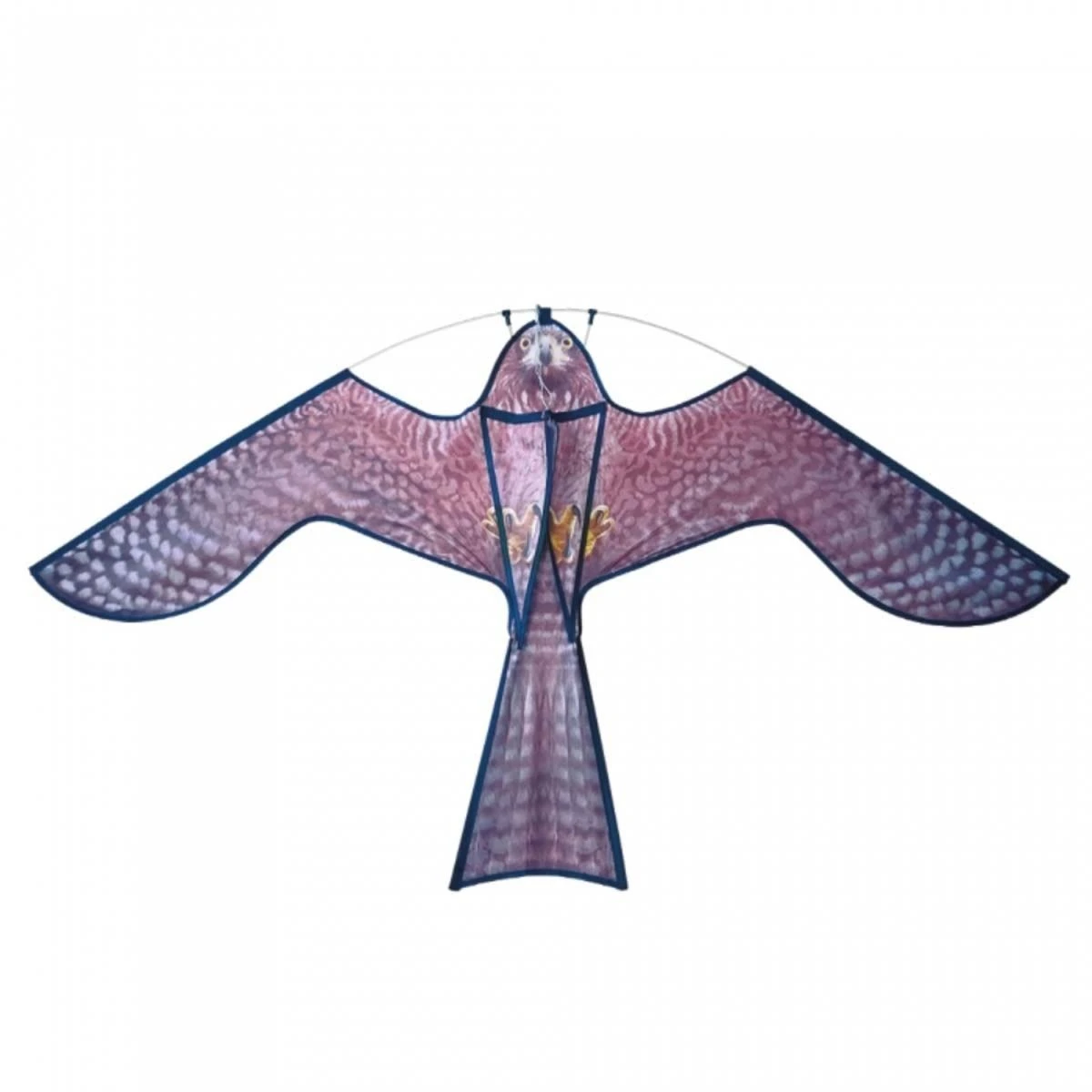 The Big Cheese Hawk Kite Bird Deterrent