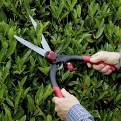 Darlac Classic Shear