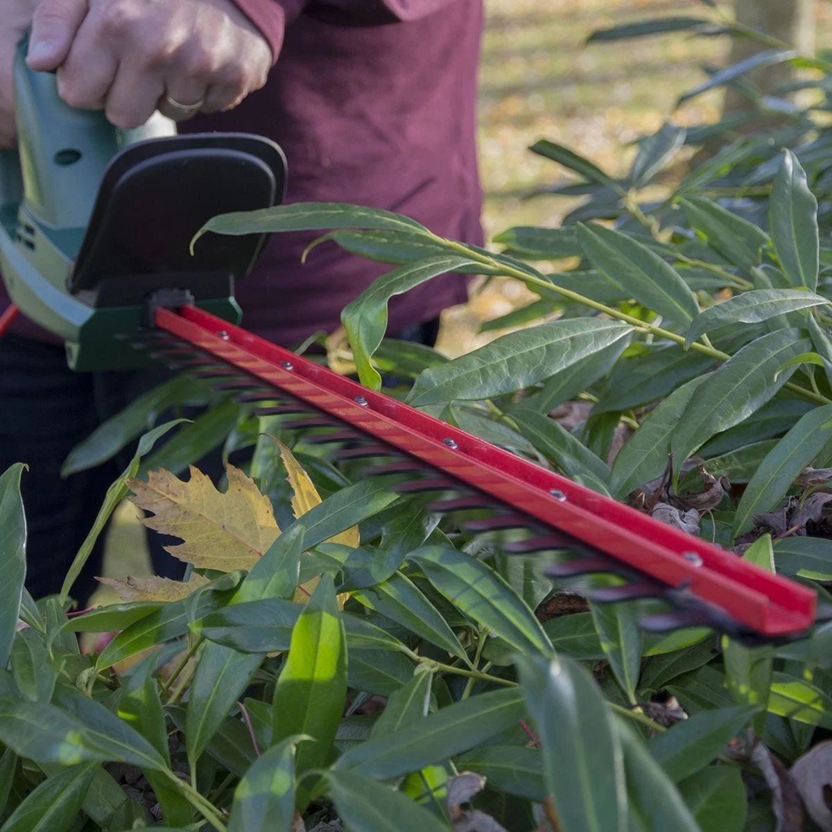 Webb Classic 500W 50cm (20") Hedge Trimmer - Image 4