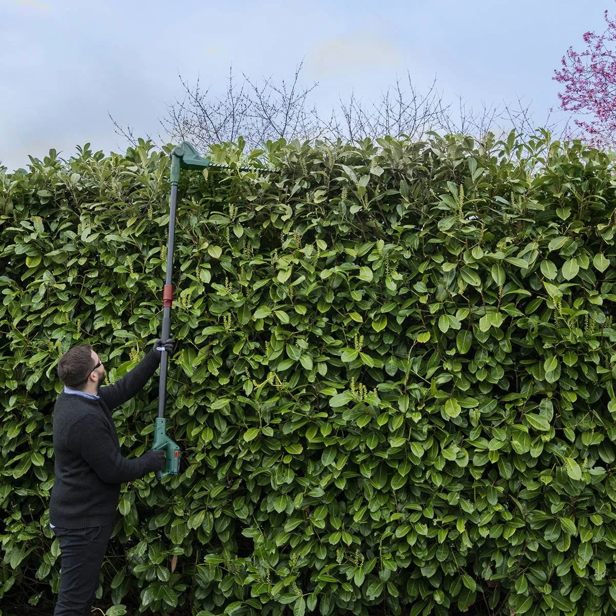 Webb 20V Long Reach Hedge Trimmer With Battery & Charger - Image 6