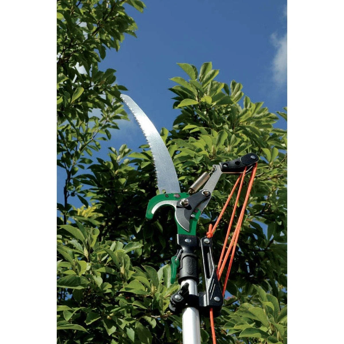 Draper Tree Pruner With 4-position Lock Telescopic Handle - Cutting Capacity 32mm Dia. - Image 3