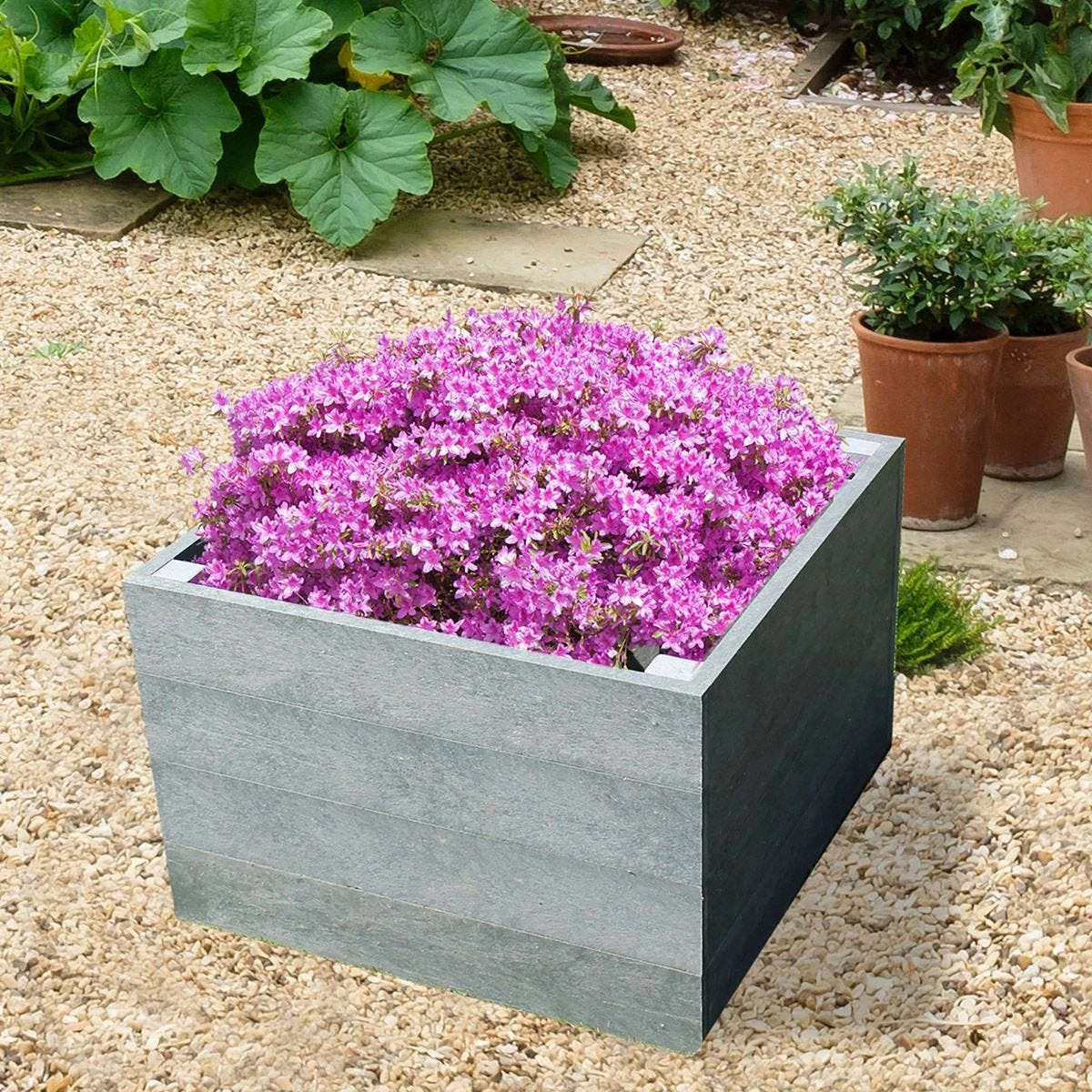 NBB Recycled Furniture EverYear Raised Bed L600 X D640 X H400mm - Grey