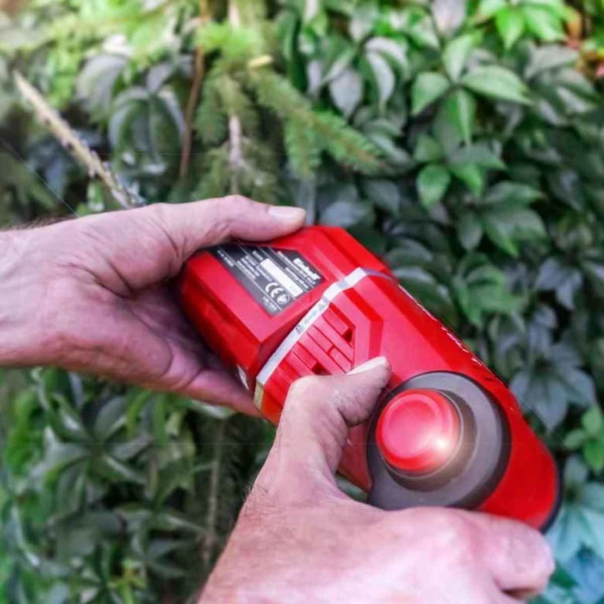 Einhell 18v Cordless Hedge Trimmer And Pruner Kit - Image 9