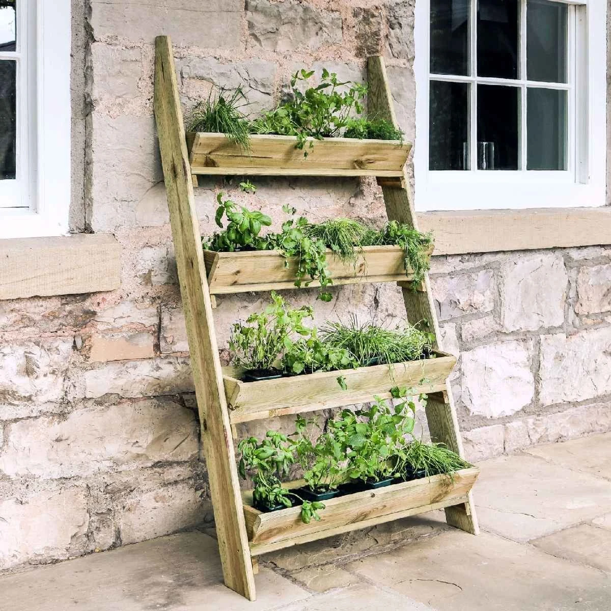 Zest Wooden Ladder Planter