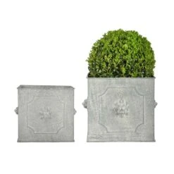 Esschert Design Set Of 2 Square Lion Head Planters