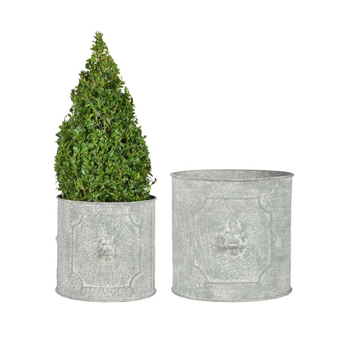 Esschert Design Set Of 2 Round Lion Head Planters