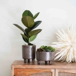 Pisa Reactive Glaze Planter Mocha H19CM D16CM