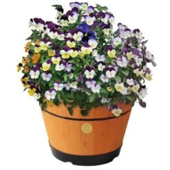 Vegtrug Medium Barrel 46cm - Peach