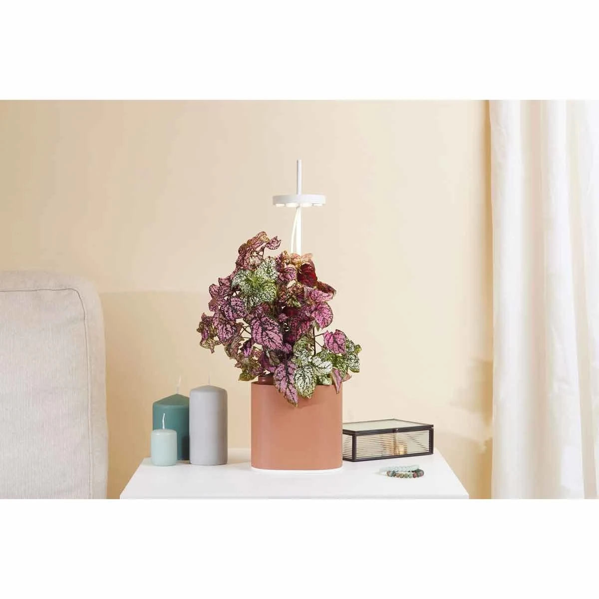 Pret A Pousser Nano Garden Terracotta With 1 Basil Pod - Image 5