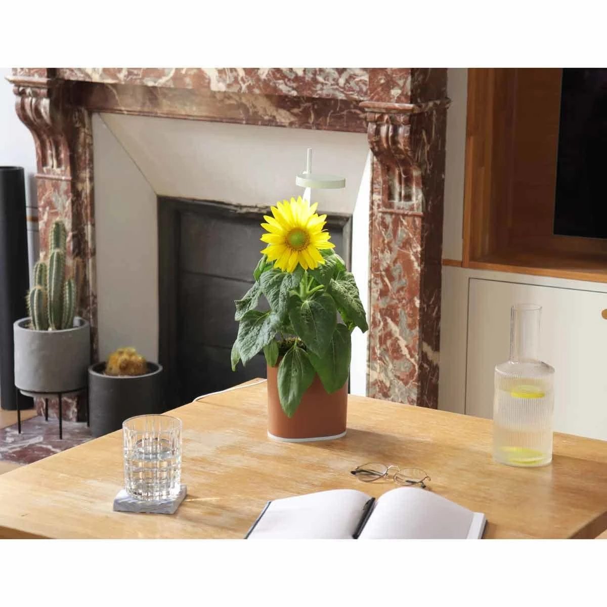 Pret A Pousser Nano Garden Terracotta With 1 Basil Pod - Image 6