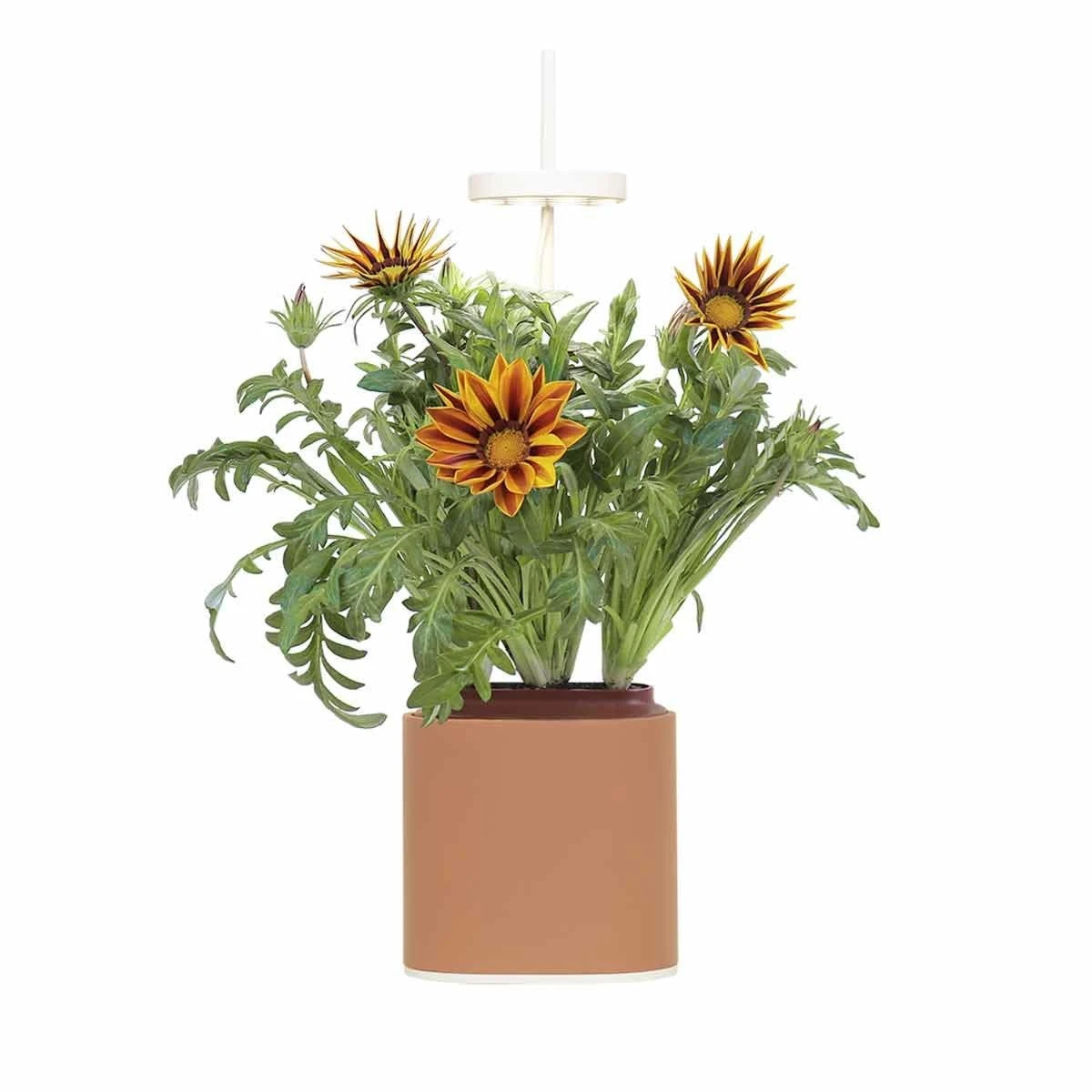 Pret A Pousser Nano Garden Terracotta With 1 Basil Pod - Image 7