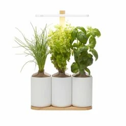 Pret A Pousser Lilo Connect Garden With Basil Lemon Basil Chives Pods