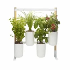 Pret A Pousser Modulo Wall-mounted Garden With Basil Lemon, Basil Chives, Leaf Mustard Pods