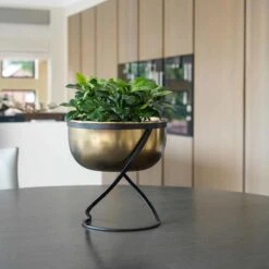 Ivyline Indoor Kensington Brass Metal Round Planter On Stand - H30Cm X W28Cm