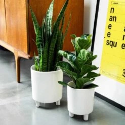 Ivyline Pisa White Planter - H19Cm X D16Cm