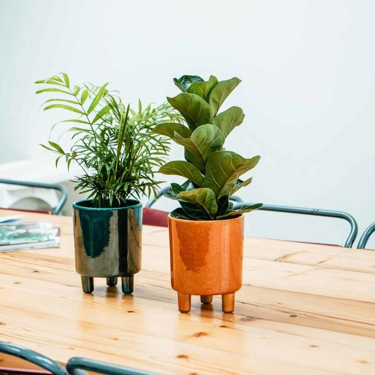 Ivyline Pisa Mustard Planter - H24Cm X D20Cm