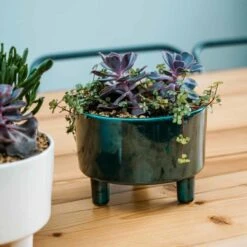 Ivyline Pisa Emerald Bowl - H14Cm X D19Cm