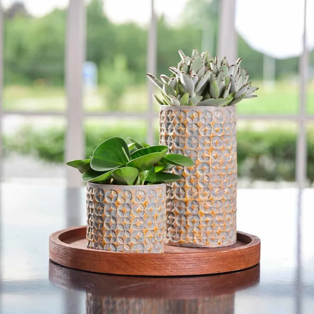 Ivyline Terni Planter Mustard - D20Cm X H18Cm