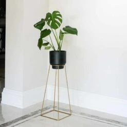 Ivyline Minimo Plant Stand In Gold - H60Cm D26Cm