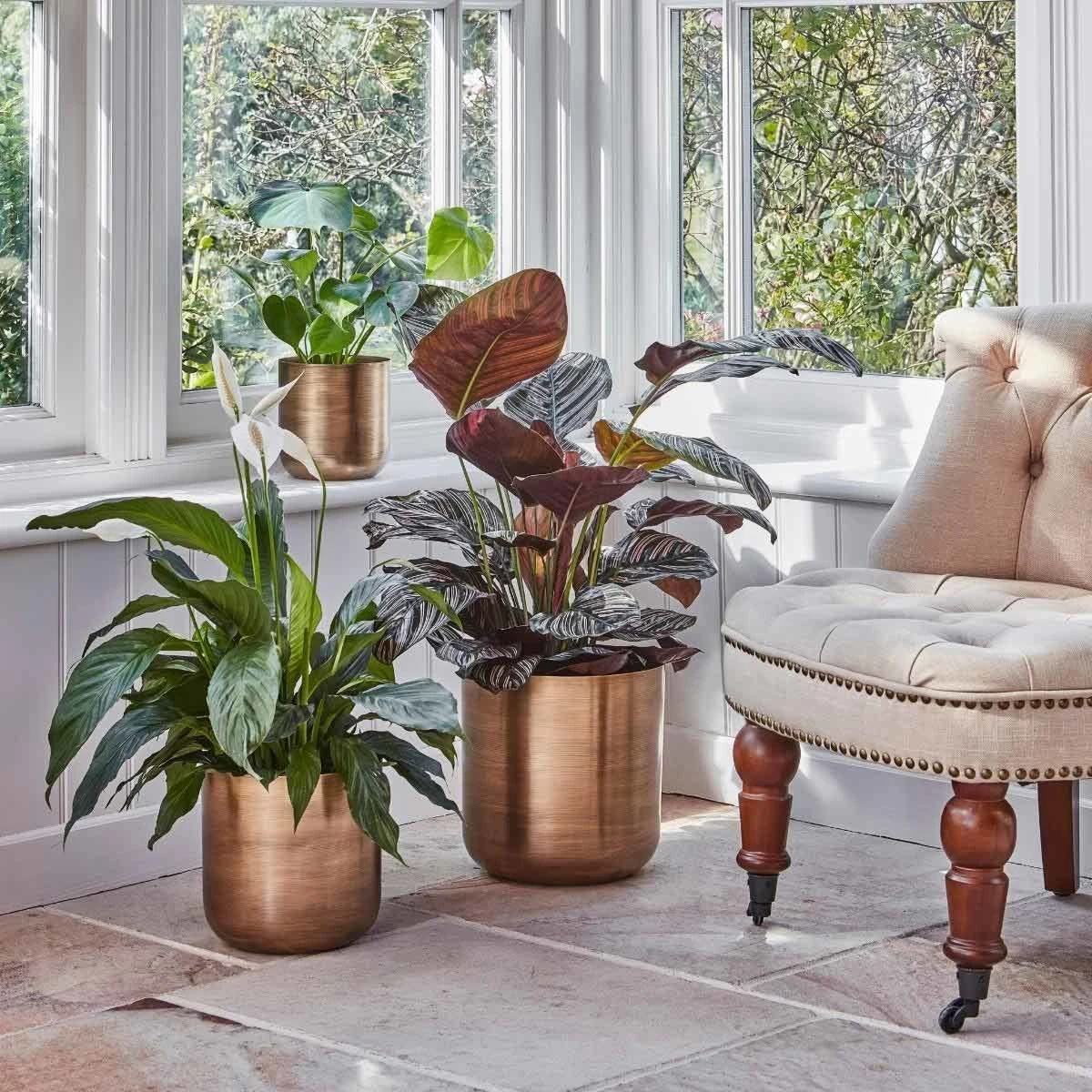 Ivyline Indoor Chelsea Brass Planter - H26Cm D25Cm