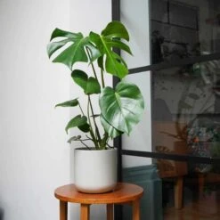 Ivyline Lisbon Planter Light Grey - H26Cm D26Cm