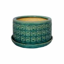 Ivyline Bonsai Planter Teal - D20Cm