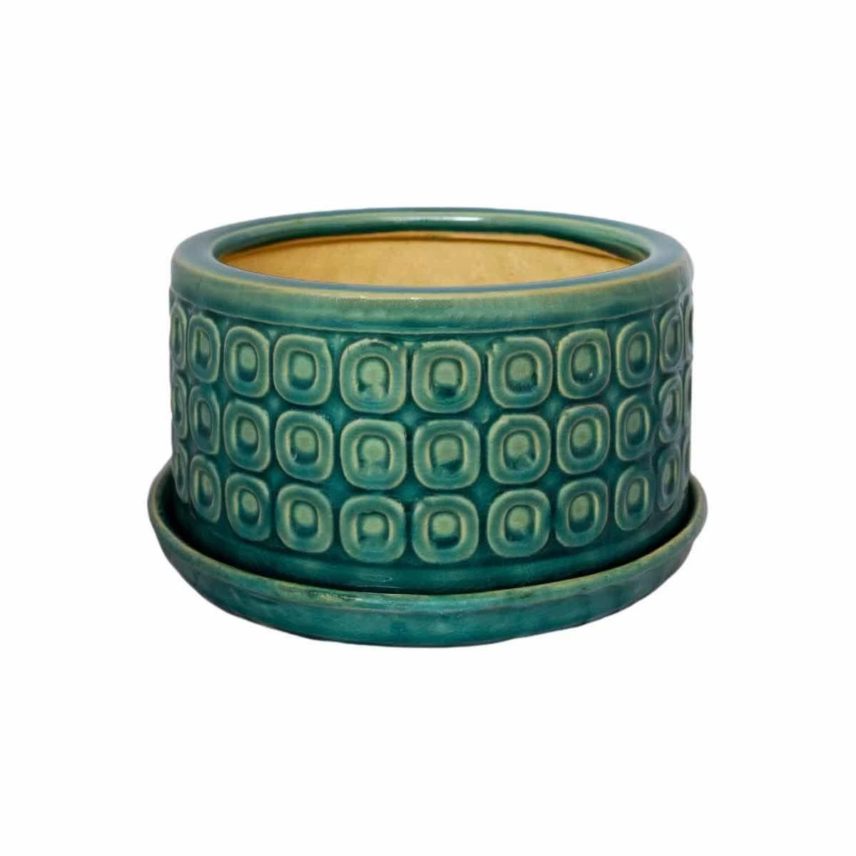 Ivyline Bonsai Planter Teal - D20Cm