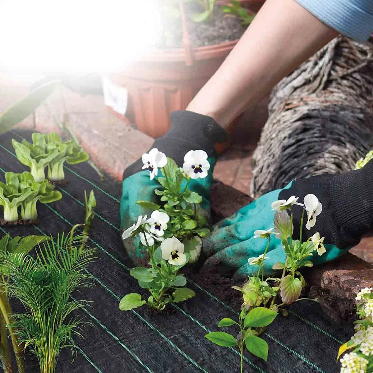 St Helens Weed Fabric - 2X20M - Image 2