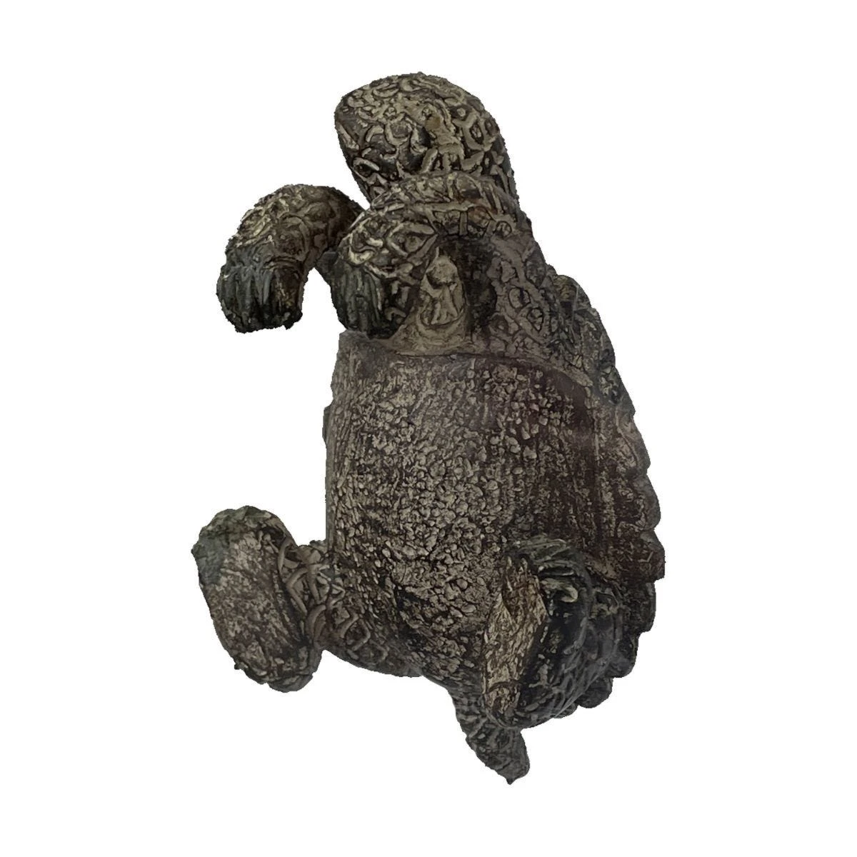 Teddy Tortoise Pot Hanger Natural (Pack Of 2)