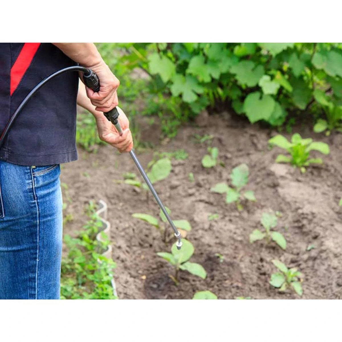 Toolland Battery-powered Backpack Pressure Sprayer 12 L - Image 3