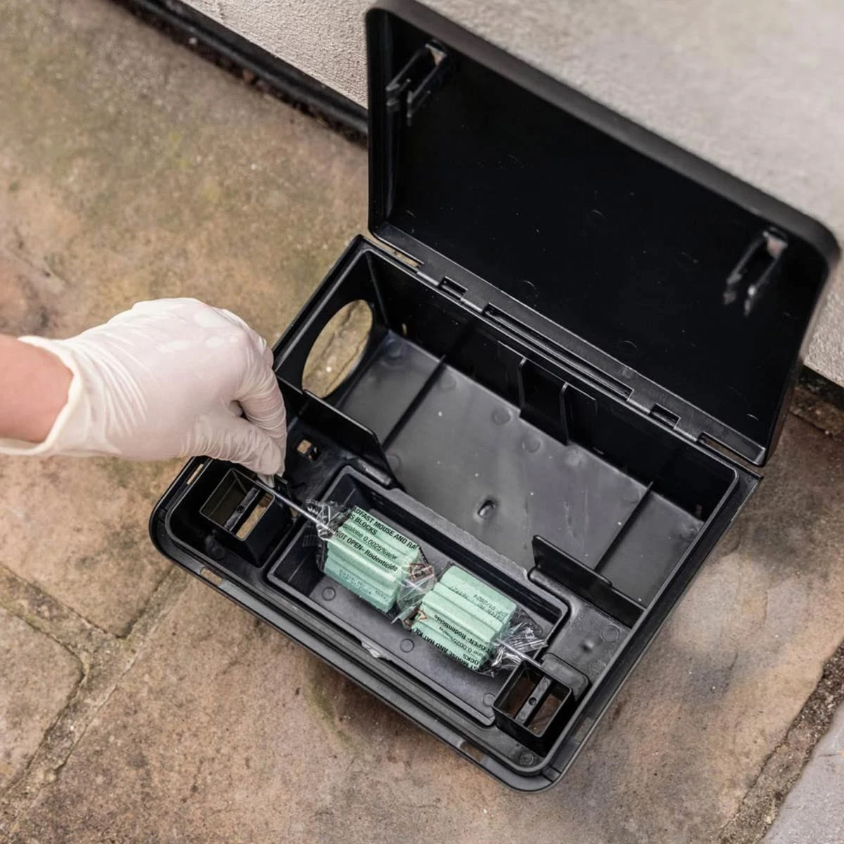 Deadfast Mouse And Rat Killer Plus All Weather Bait Blocks 15 Pack 300Gr - Image 6