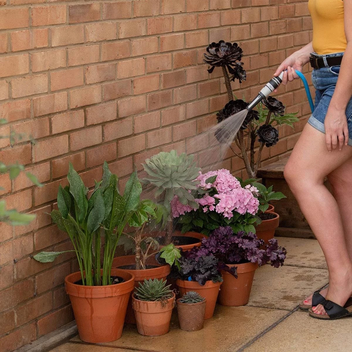 Flopro Fitt Ikon Expandable Garden Hose Complete Set 15M Blue - Image 6