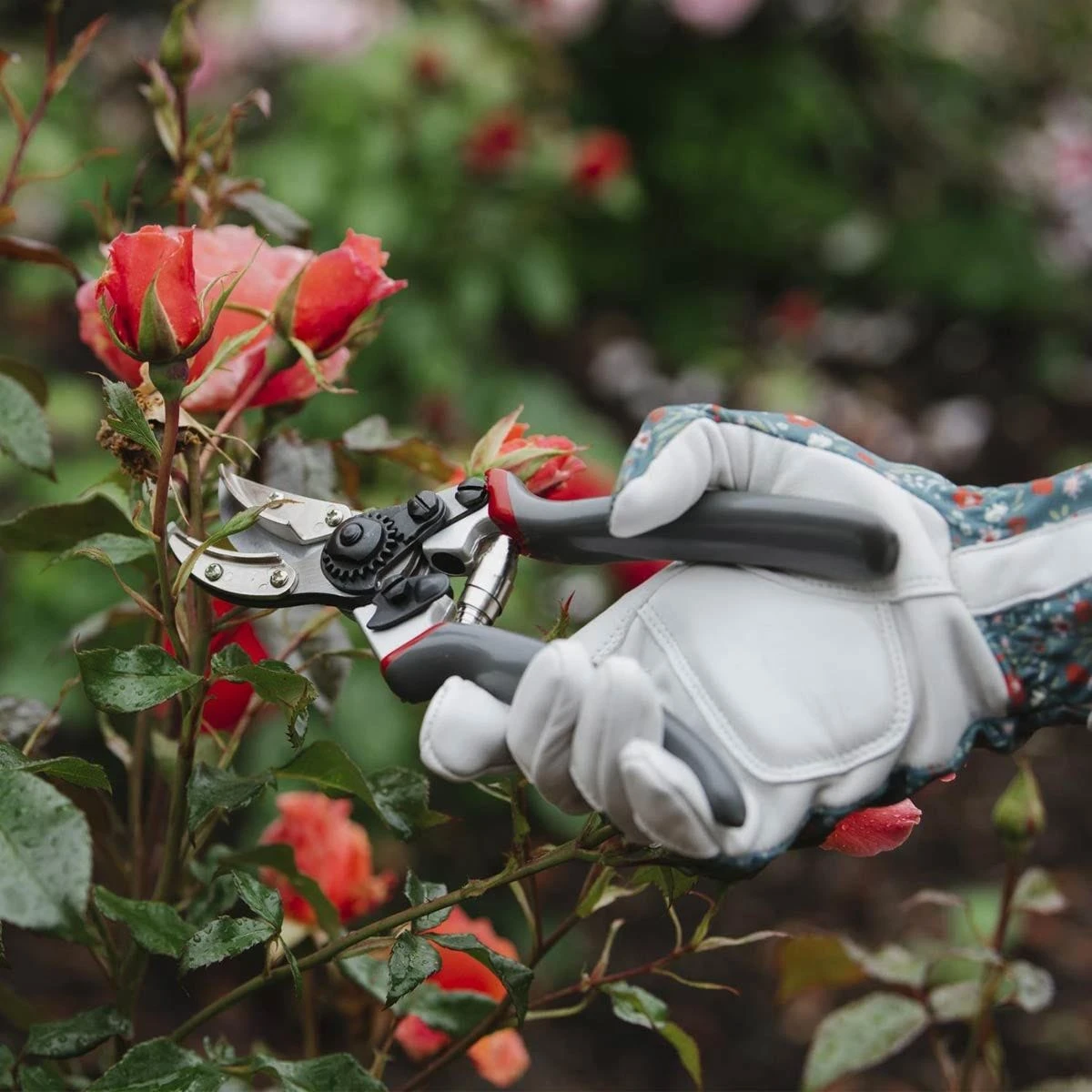 Kent & Stowe Professional Bypass Secateurs Pruner For Gardening - Image 3