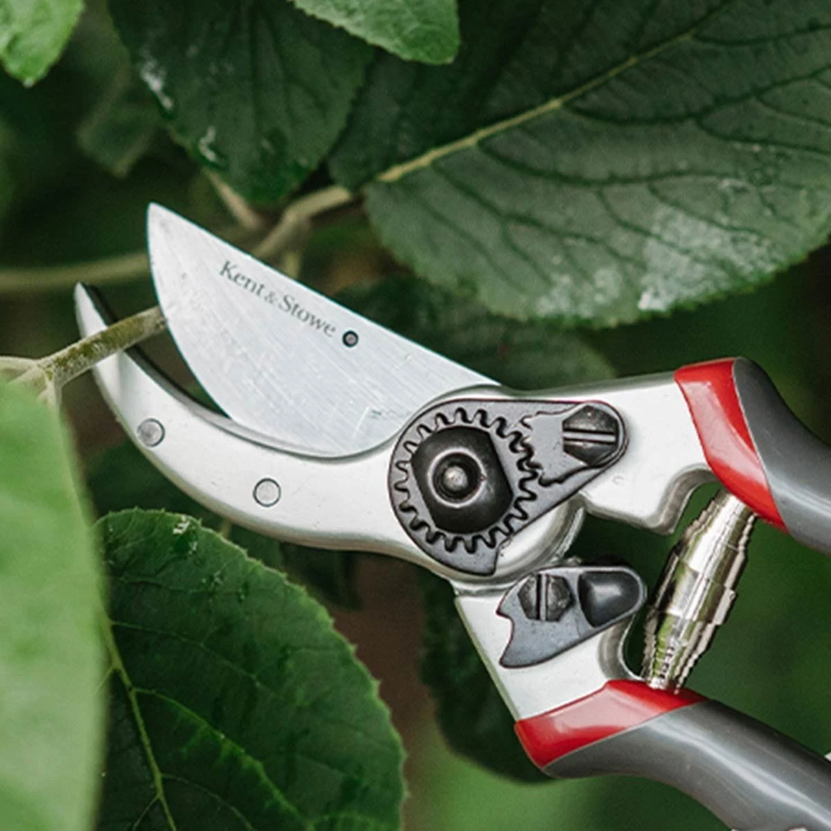 Kent & Stowe Professional Bypass Secateurs Pruner For Gardening - Image 5