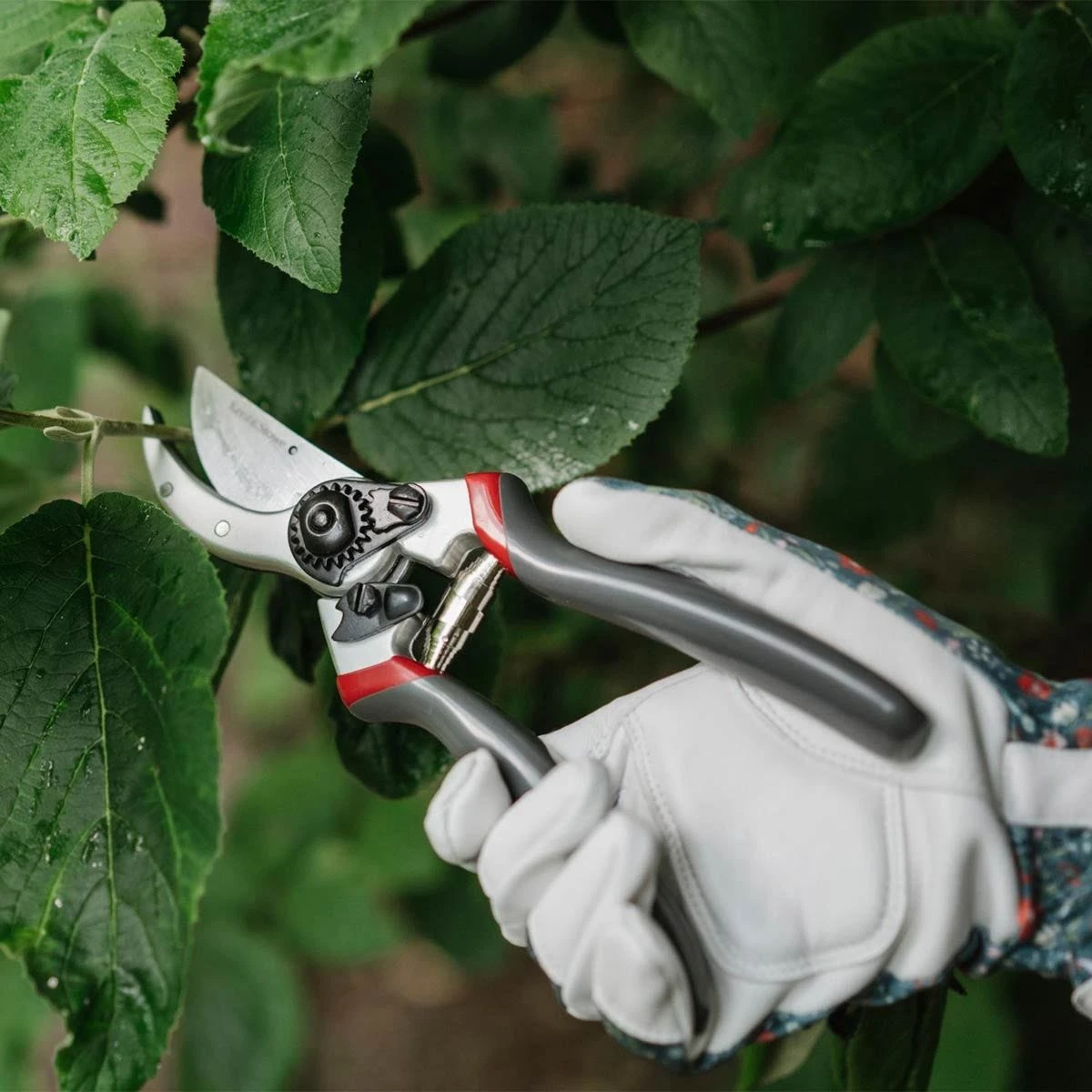 Kent & Stowe Professional Bypass Secateurs Pruner For Gardening - Image 6