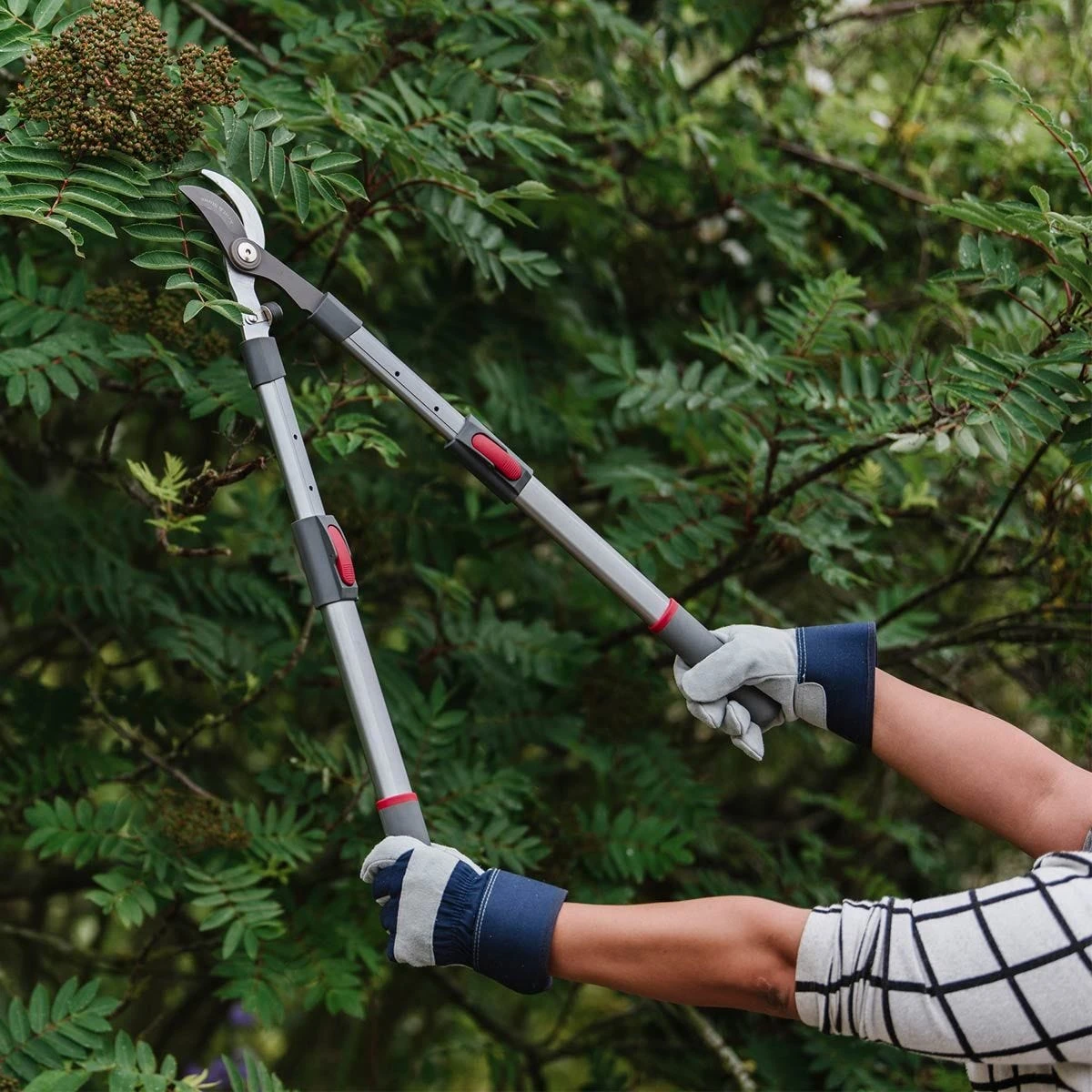 Kent & Stowe Tele Handle Telescopic Bypass Lopper Pruner Cutter 65Cm-90Cm - Image 4