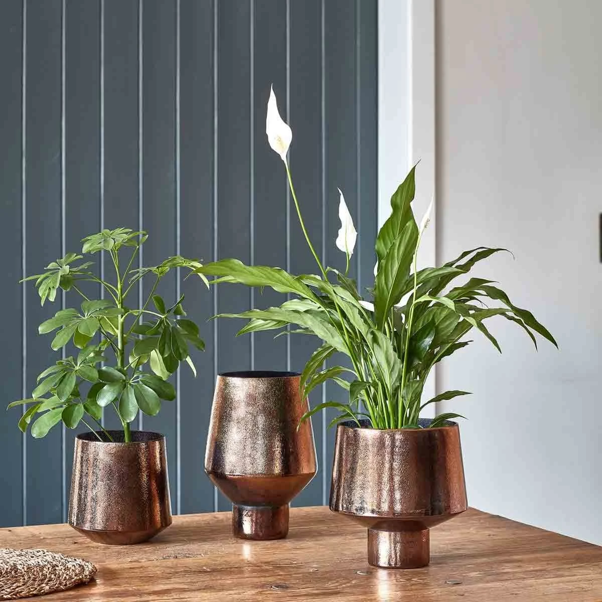 Opulent Tall Curved Metallic Bronze Vase H26cm W20cm - Image 4