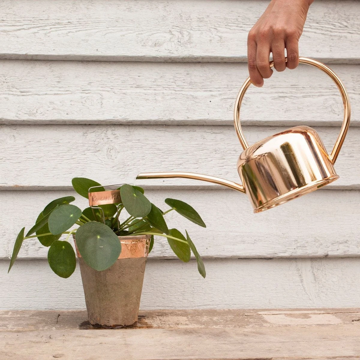 Water In The Garden Copper Plated Watering Can - Image 5