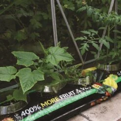 Thompson And Morgan Incredicrop Grow Bag - 1 Unit