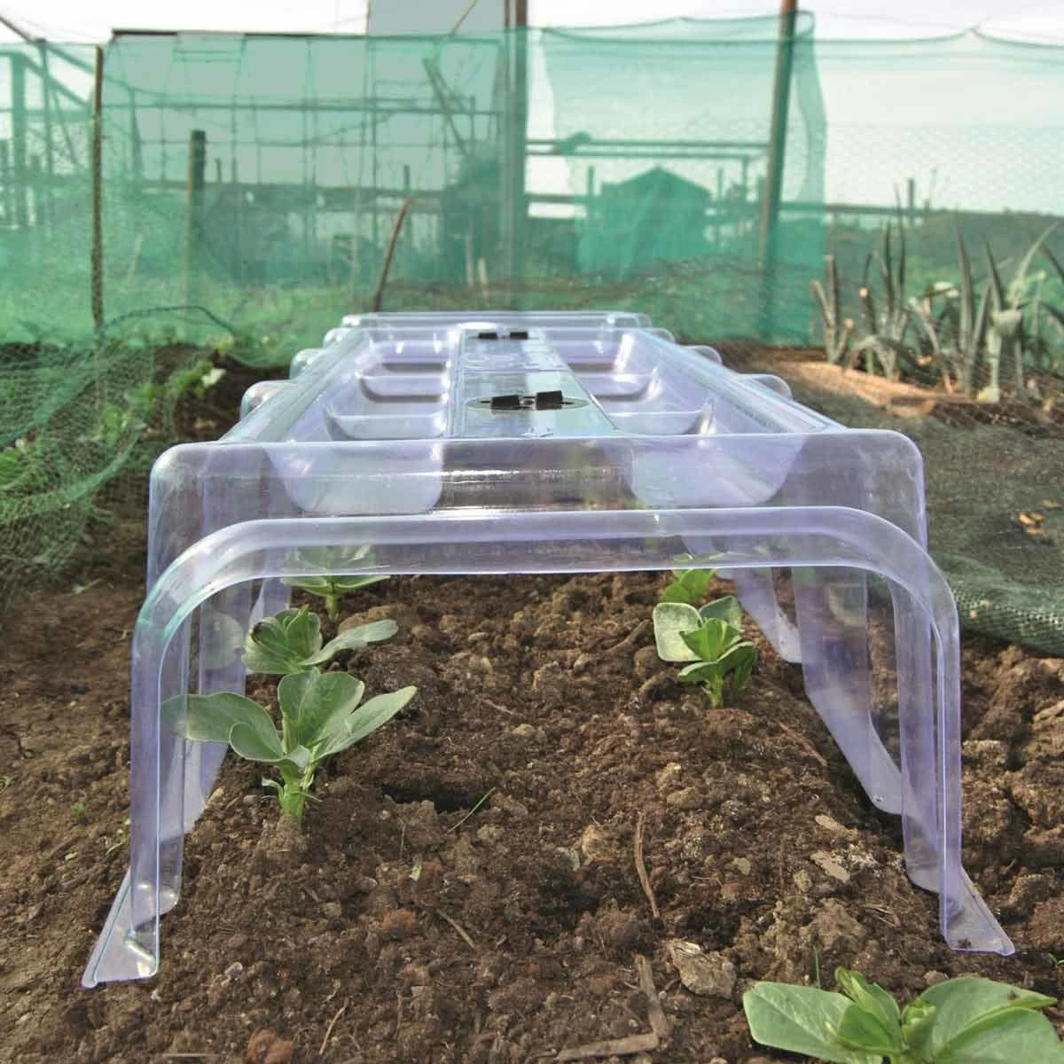 Garden Gear Mini Greenhouse 2 Cloches 4 Ends And Stakes - Image 2