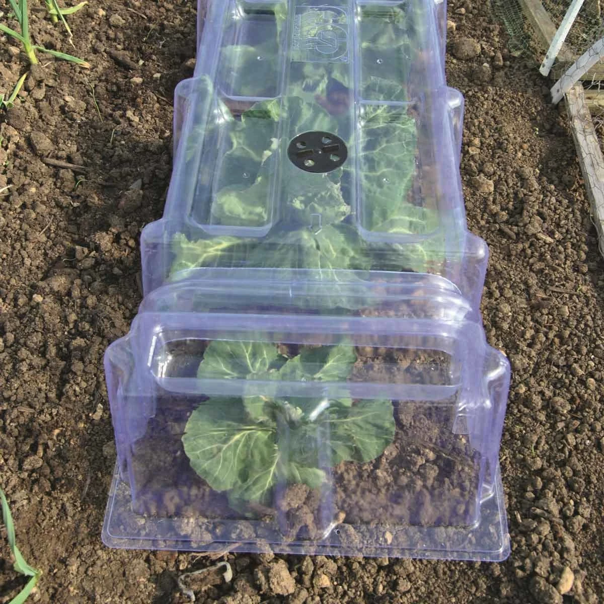 Garden Gear Mini Greenhouse 2 Cloches 4 Ends And Stakes - Image 3