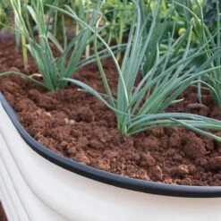 Garden Gear Original Veggie Bed Paperbark Merino White X 1