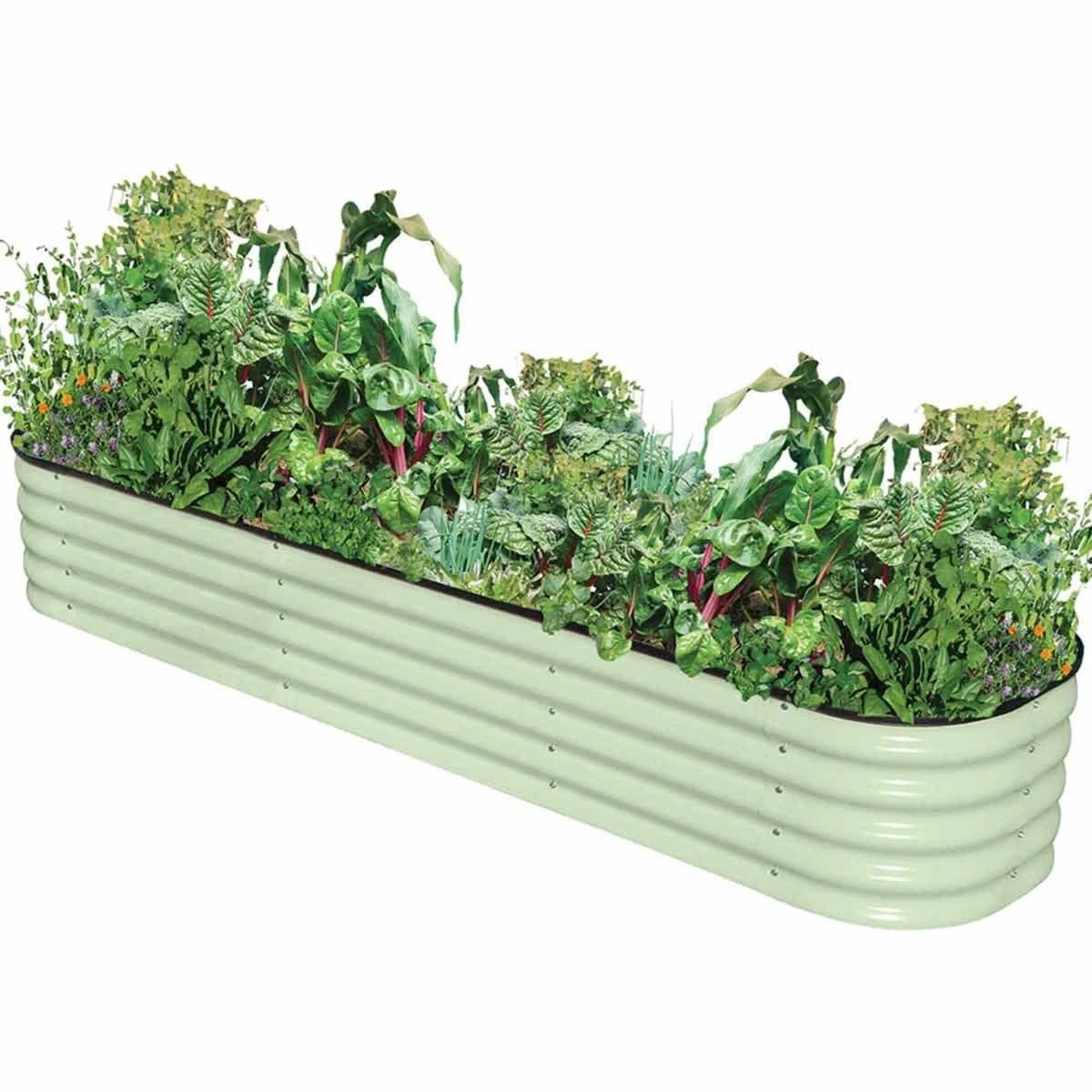 Garden Gear Original Veggie Bed Sage X 2