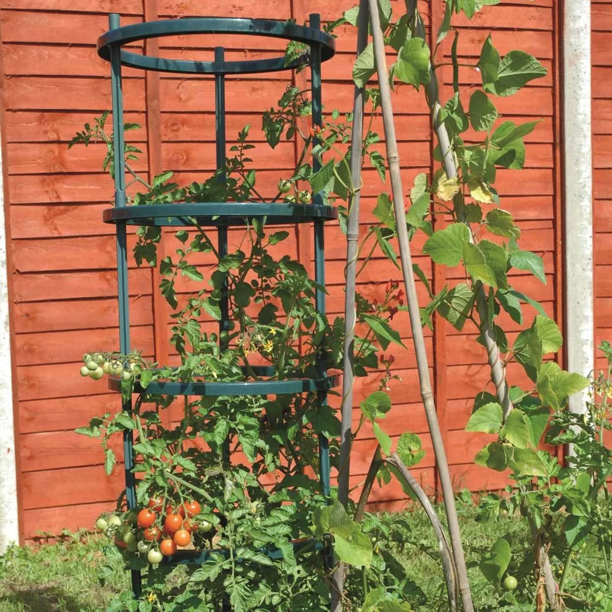 Garden Gear Tomato Growing Support 5 Piece Set X 3 - Image 2