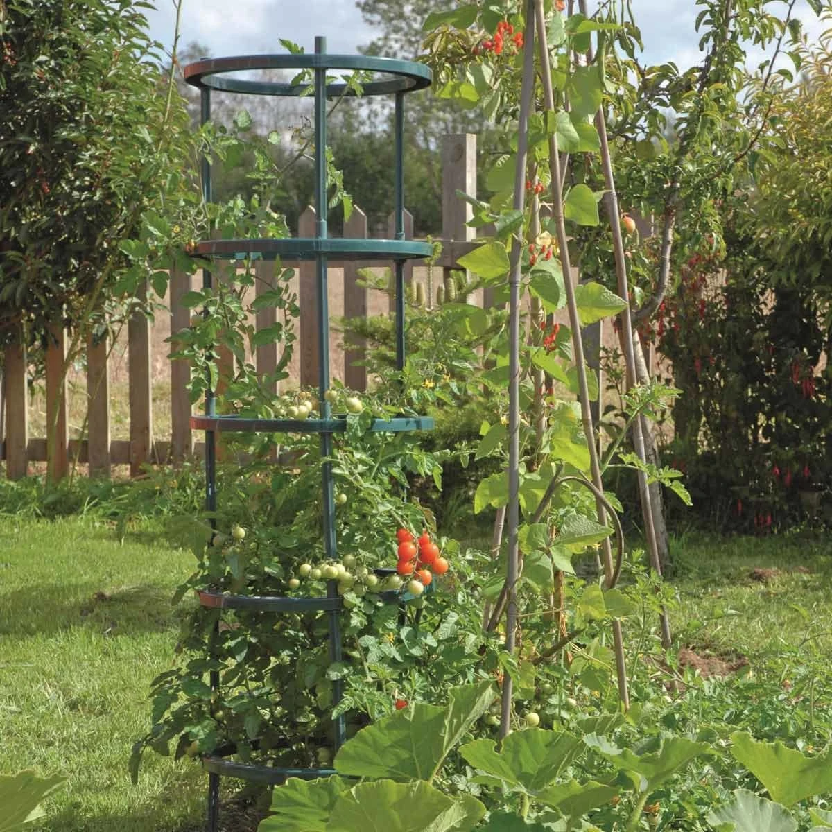 Garden Gear Tomato Growing Support 5 Piece Set X 3 - Image 3