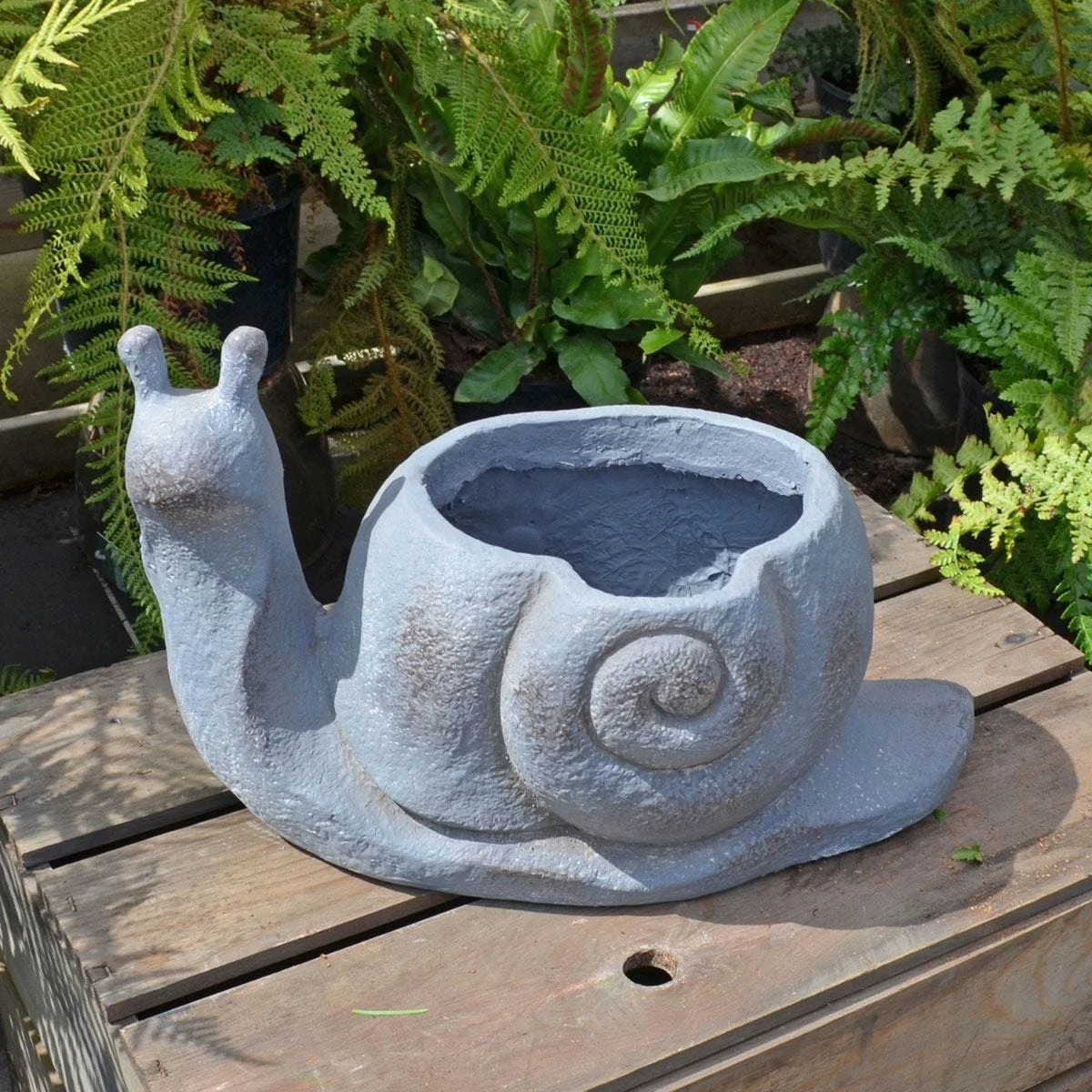 Solstice Sculptures Snail Planter 24Cm Blue Iron Effect - Image 2