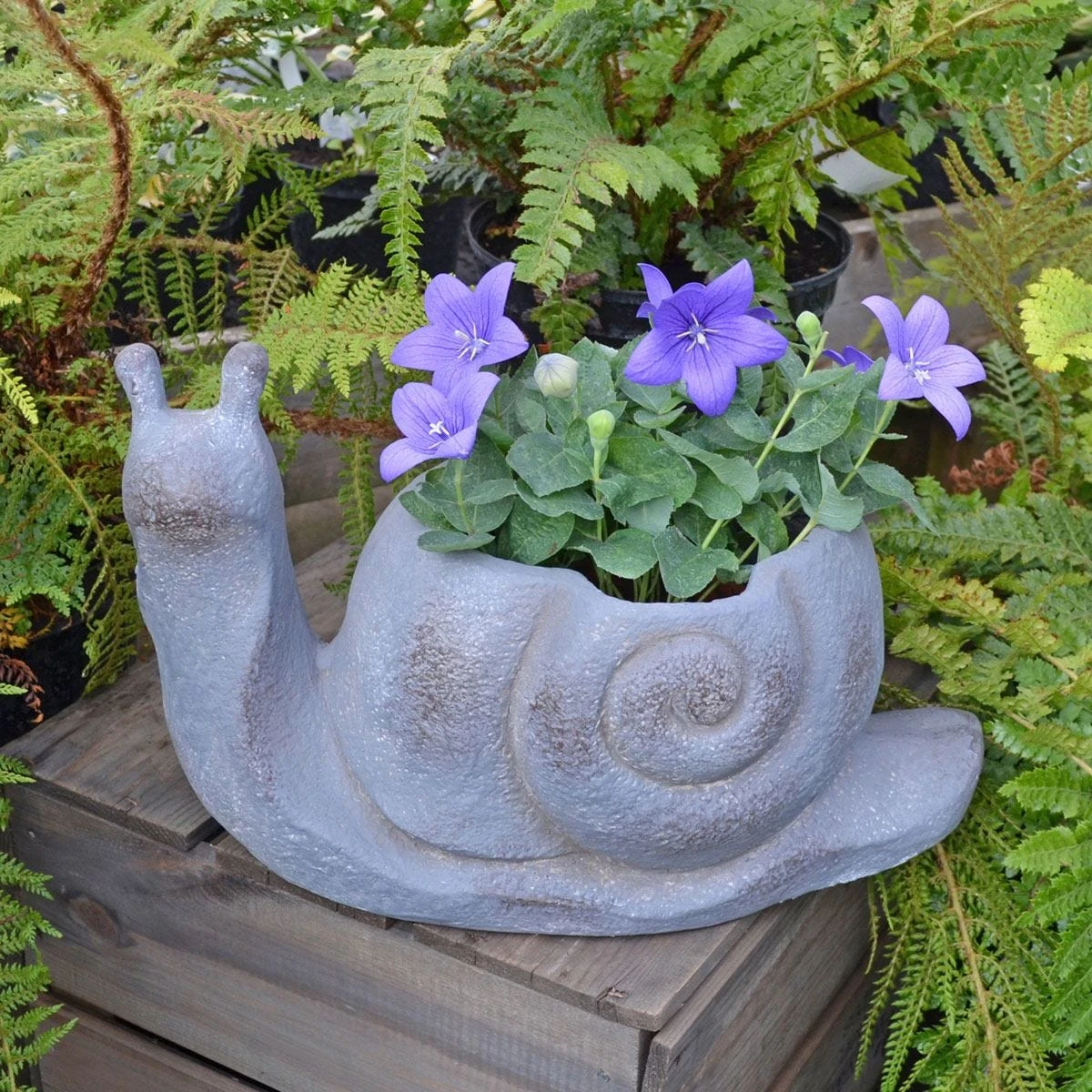 Solstice Sculptures Snail Planter 24Cm Blue Iron Effect - Image 8