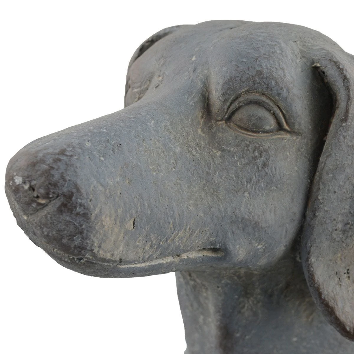 Solstice Sculptures Sausage Dog Planter 30Cm Blue Iron Effect - Image 7